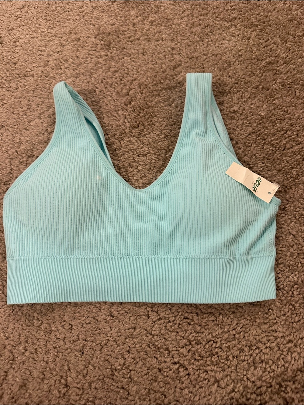 aerie Ribbed Light Blue Seamless Bralette
